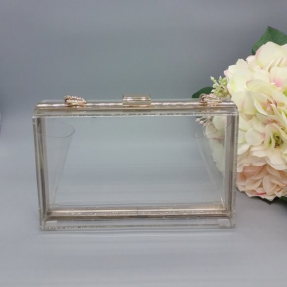 Transparent Acrylic Clutch - Picture 1 of 10